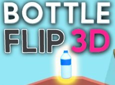 Bottle Flip 3d