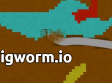 DIGWORM io