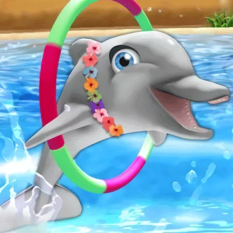 My Dolphin Show